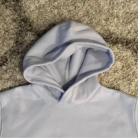 🖤NWT🖤 ARITZIA Perfect Fit Sweatfleece Cozy Fleece Hoodie - Picture 4 of 7